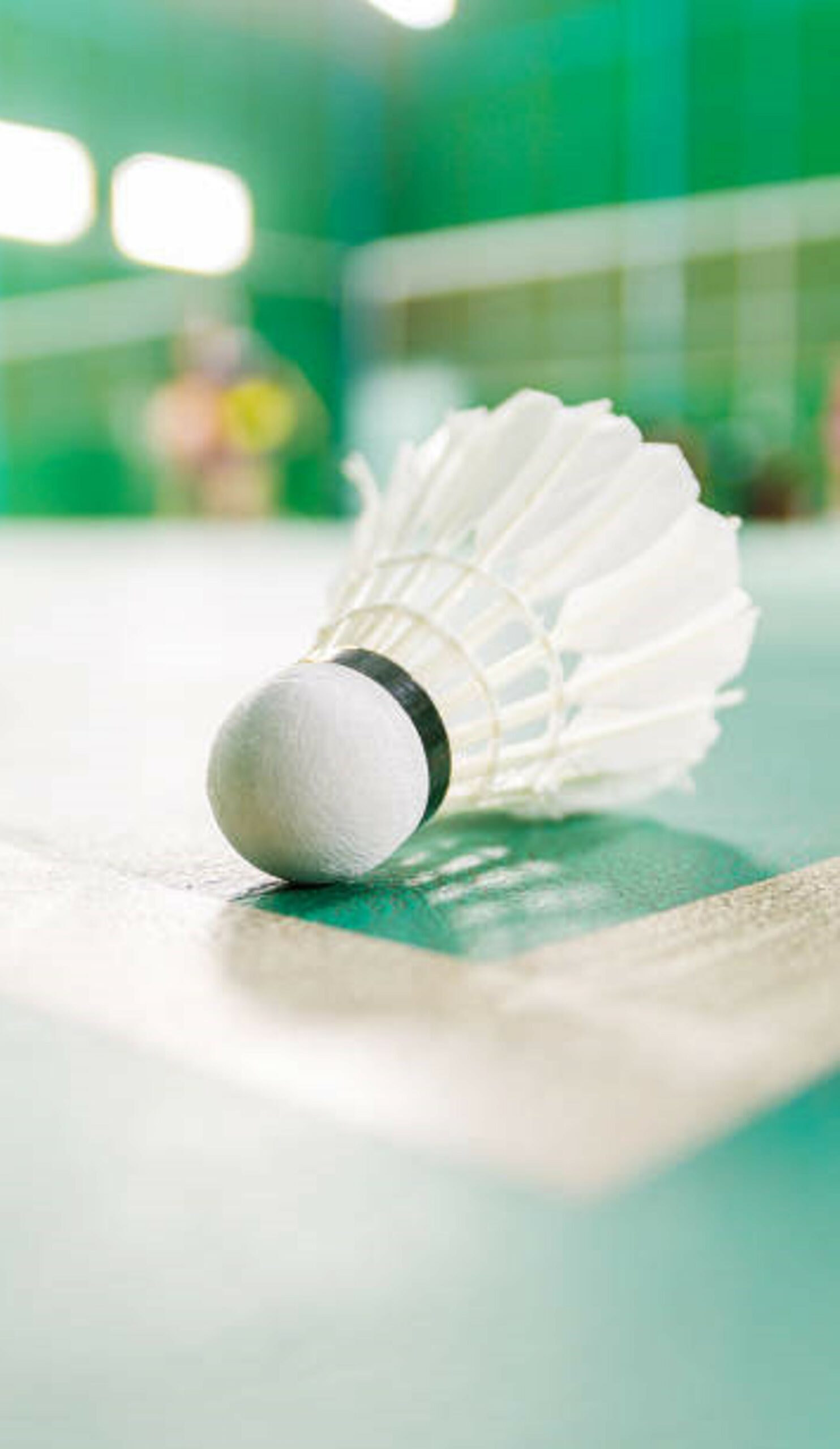 Sport de raquette Badminton
